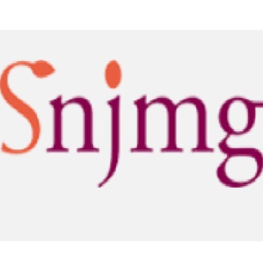 accueil cropped logo snjmg 500pix.jpg